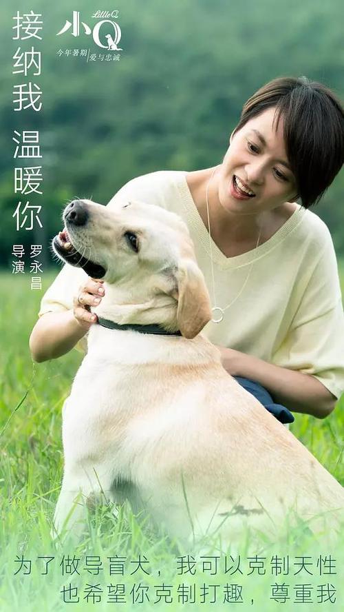 哪里能买到日本苫小牧驹泽大学文凭毕业证